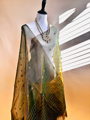 Nia - ShopNaya Exclusive | Handwoven | Silk Organza | Metallic Colors | Gold Zari | Ships from California